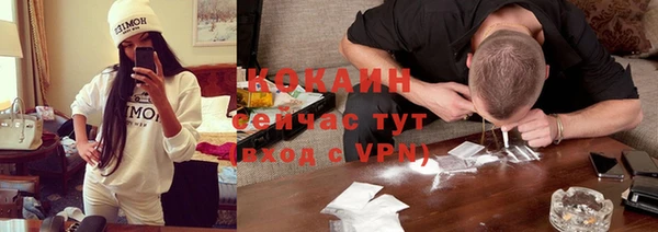 ГАЛЛЮЦИНОГЕННЫЕ ГРИБЫ Бородино