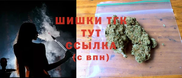 ГАЛЛЮЦИНОГЕННЫЕ ГРИБЫ Бородино
