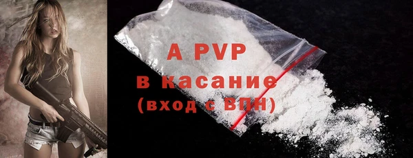 ГАЛЛЮЦИНОГЕННЫЕ ГРИБЫ Бородино