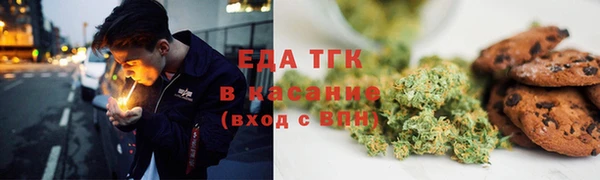 ГАЛЛЮЦИНОГЕННЫЕ ГРИБЫ Бородино