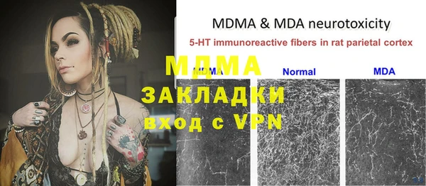 ГАЛЛЮЦИНОГЕННЫЕ ГРИБЫ Бородино