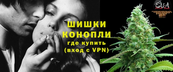 ГАЛЛЮЦИНОГЕННЫЕ ГРИБЫ Бородино
