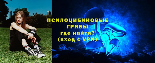соль ск Бронницы
