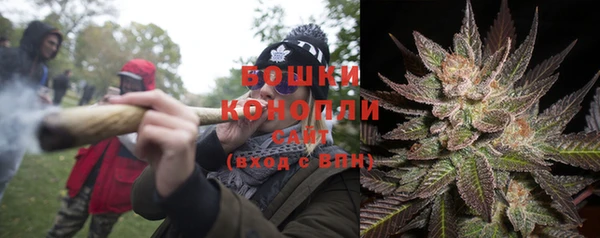 ГАЛЛЮЦИНОГЕННЫЕ ГРИБЫ Бородино