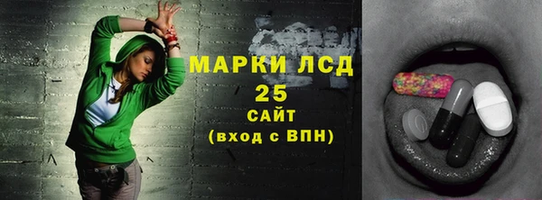 ГАЛЛЮЦИНОГЕННЫЕ ГРИБЫ Бородино